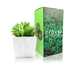 Beauty Product